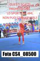 CS4_08500-