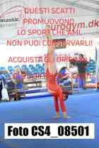 CS4_08501-