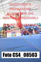 CS4_08503-