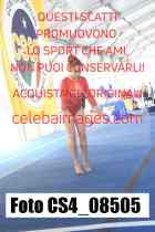CS4_08505-