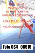 CS4_08515-