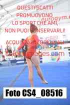 CS4_08516-