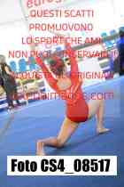 CS4_08517-