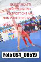 CS4_08519-
