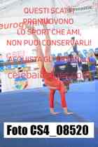 CS4_08520-