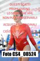 CS4_08524-