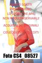 CS4_08527-