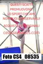 CS4_08535-