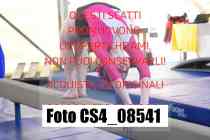 CS4_08541-