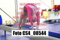 CS4_08544-