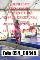 CS4_08545-