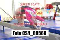 CS4_08560-