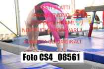 CS4_08561-