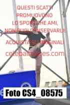 CS4_08575-