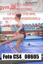 CS4_08605-