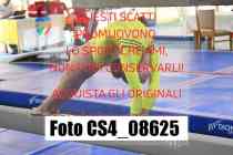 CS4_08625-