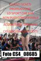 CS4_08685-
