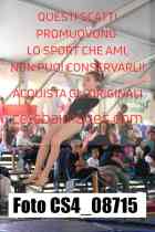 CS4_08715-