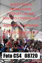 CS4_08720-
