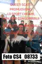 CS4_08733-