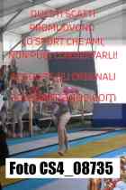 CS4_08735-