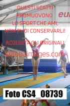 CS4_08739-
