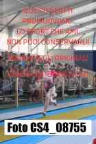 CS4_08755-