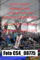 CS4_08775-