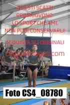 CS4_08780-