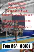 CS4_08781-