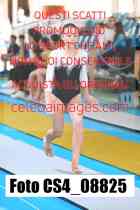 CS4_08825-