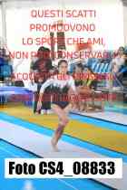 CS4_08833-