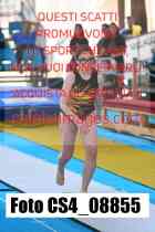 CS4_08855-