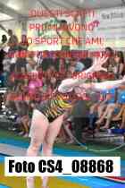 CS4_08868-