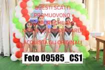 09585_CS1