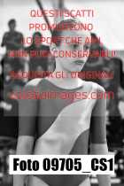 09705_CS1