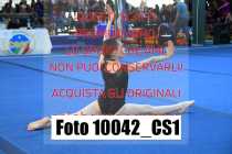 10042_CS1