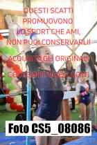CS5_08086