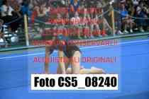 CS5_08240