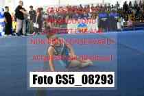 CS5_08293