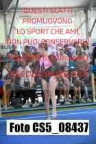 CS5_08437