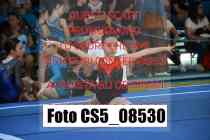 CS5_08530