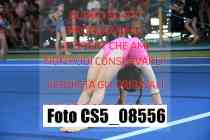 CS5_08556