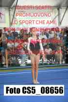 CS5_08656