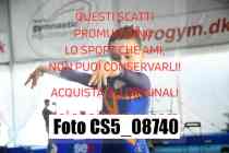 CS5_08740