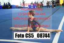 CS5_08744