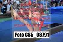 CS5_08791