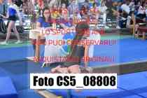 CS5_08808