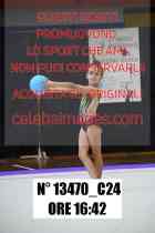 13470_C24