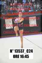 13537_C24